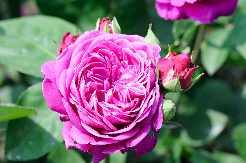 image0374