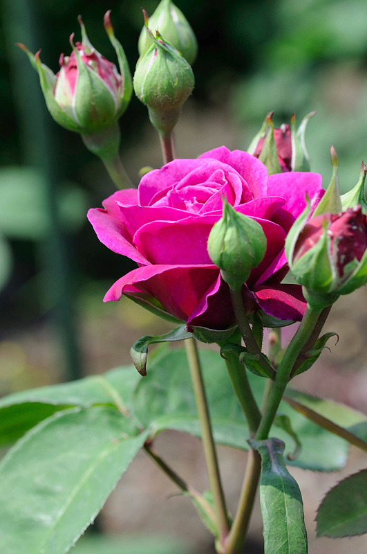 image0376