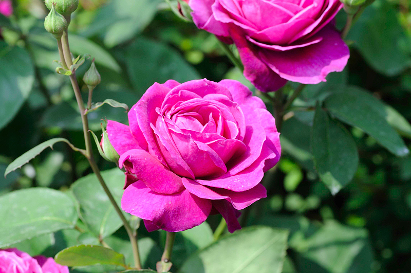 image0377