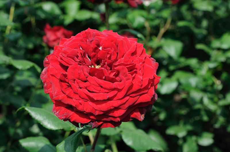 image0380