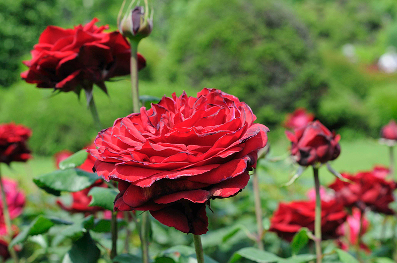 image0382