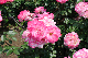 image0128