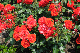 image0132