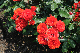 image0134