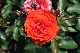 image0135