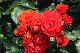 image0136