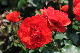 image0138
