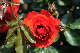 image0139