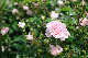 image0148