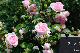 image0149