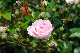 image0151