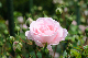 image0152