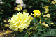 image0154