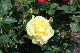 image0155