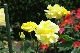 image0156