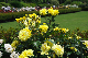 image0157