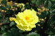 image0158
