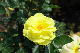 image0159