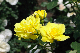 image0160