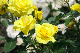 image0161