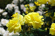 image0162