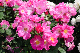 image0167