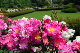 image0168