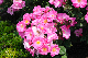 image0169