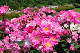 image0170