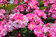 image0171
