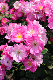 image0172