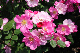 image0173
