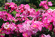image0174