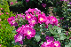 image0175