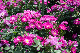 image0176