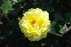 image0178
