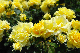 image0179