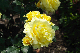 image0180