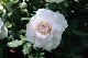 image0182