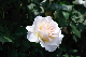 image0186