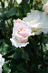 image0187