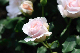 image0188