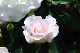 image0189