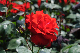 image0190