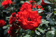 image0192