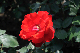 image0193