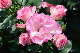 image0197