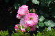 image0200