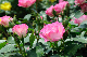 image0201