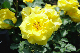 image0202
